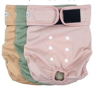 Pink and Green Dog Clothing Accessories Size M